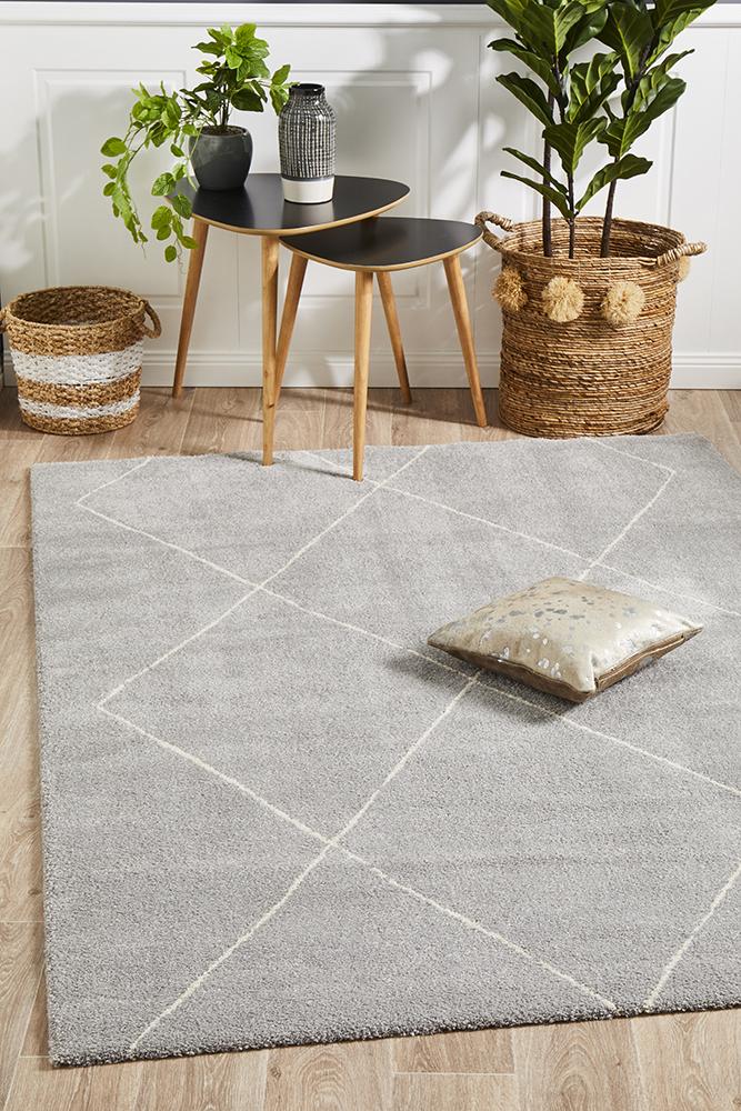 Aldrin Transitional Diamond Silver Rug - Coconapple_2